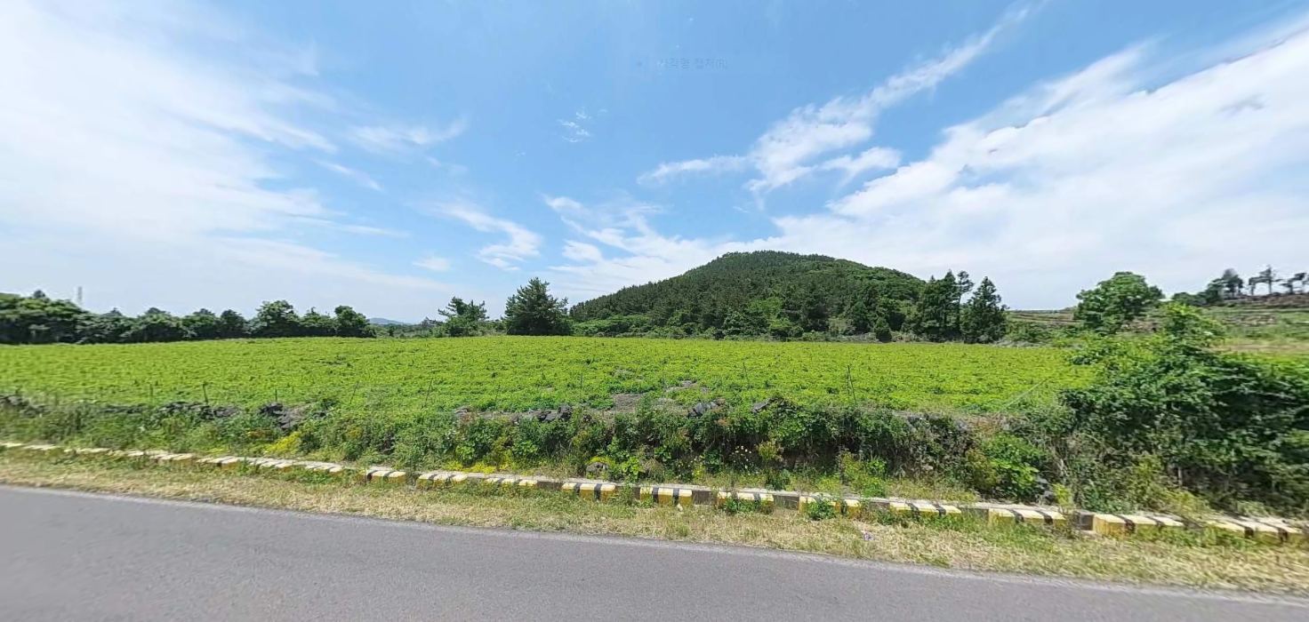 건축용토지 매물 등